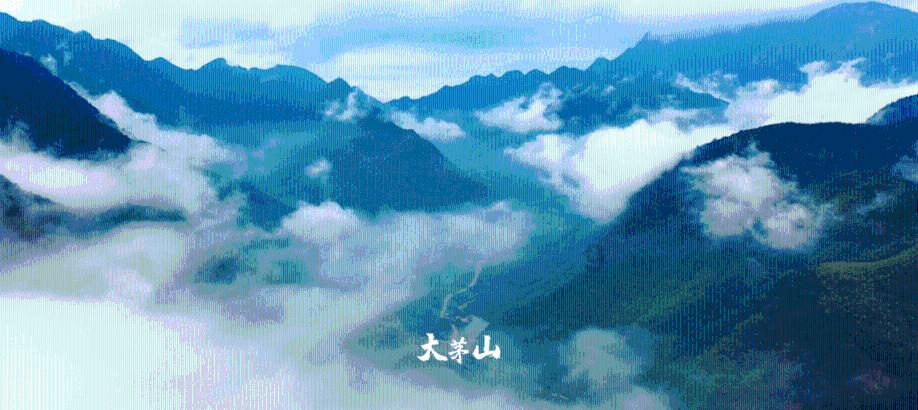 寻找丢失的婴儿